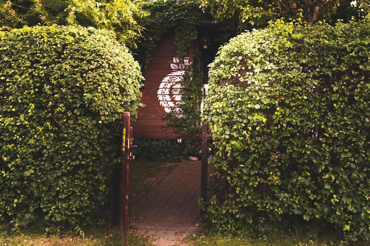 Sloneczny Klasztorek Ferienhaus Gardeja